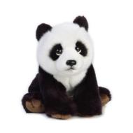 Orso Panda Baby