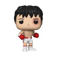 Rocky 45th Rocky Balboa
