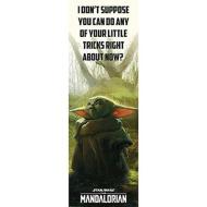 Star Wars - The Mandalorian - Special Tricks Door Poster