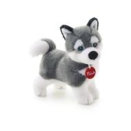 Husky Marcus piccolo