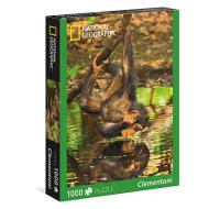 Scimpanzè Piccolo 1000 pezzi National Geographic (39301)
