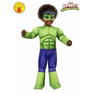 Costume Hulk 2-3 anni (702737-Xs)