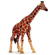 Giraffa femmina (14320)
