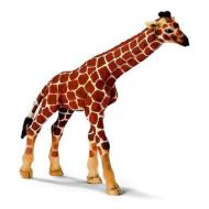 Giraffa piccolo (14321)