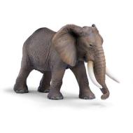 Elefante africano (14341)
