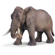 Elefante femmina africana (14342)