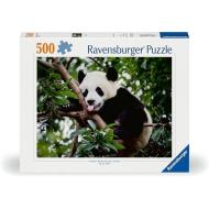 Il panda - Puzzle 500 pezzi (12000351)