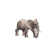 Elefante africano Tiptoi figurine animali - EXTRA LARGE (00356)