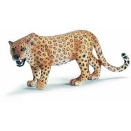 Leopardo (14360)