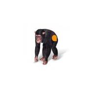 Scimpanzé Tiptoi figurine animali - MEDIUM (00364)