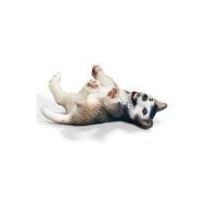 Husky cucciolo sdraiato (16374)
