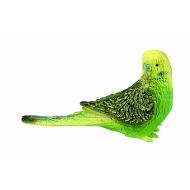 Pappagallo Ondato Verde (69381)