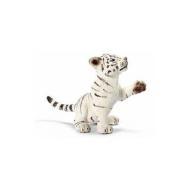 Tigre cucciolo bianco che gioca (14385)