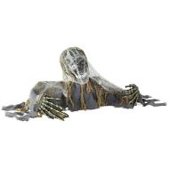 Scheletro zombie animato con testa e braccia movibili