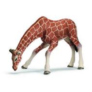 Giraffa femmina che beve (14390)