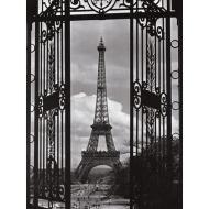 Benvenuto a Parigi (16394)
