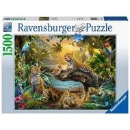 Puzzle 1500 pz Leopardi nella giungla