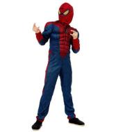 Costume Spider Hero S