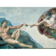 Michelangelo: La creazione