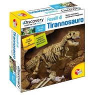 Fossili di Tirannosauro (3566)