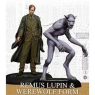 Hpmag Remus Lupin