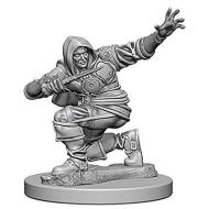 Pathfinder Dcum Human Male Rogue