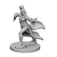 Pathfinder Dcum Elf Female Sorcerer