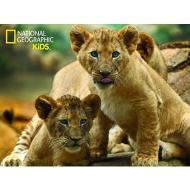 Puzzle 3D Animal Planet: African Lion 63 pezzi