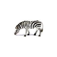 Zebra al pascolo (14609)