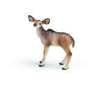 Cucciolo di antilope kudu (14644)