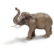 Elefante asiatico (14653)