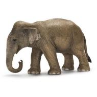 Elefante asiatico femmina (14654)