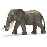 Elefante africano (14656)