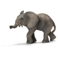 Elefante africano cucciolo (14658)