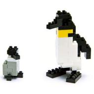 Pinguino Imperatore