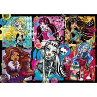 Puzzle 250 Pezzi Monster High (296820)