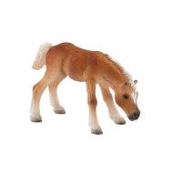 Cavalli - Haflinger Foal (62697)
