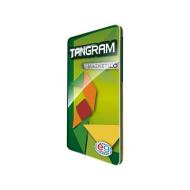 Tangram travel magnetico (98413)