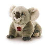 Koala Jamin medio