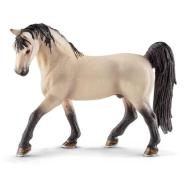 Stallone Tennessee Walker (13789)