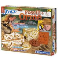 Fossili e orme Focus junior (13821)