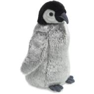 Pinguino piccolo