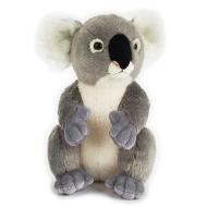 Koala (770835)