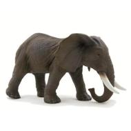 Animal Planet elefante