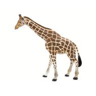 Animal Planet giraffa