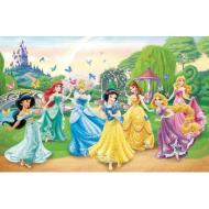 Puzzle 104 Pezzi Principesse Disney (278560)