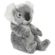 Koala piccolo