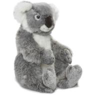 Koala grande