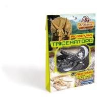 Triceratopo Dino Fossili (138960)