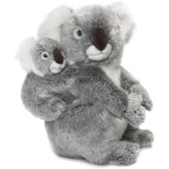 Koala madre e cucciolo